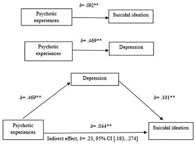 Evidence for Specific Associations Between Depressive Symptoms, Psychotic Experiences, and Suicidal Ideation in Chilean Adolescents From the General Population